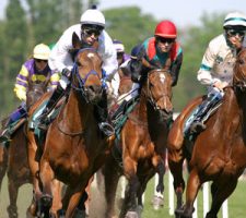 Horse Race Best Odds Guaranteed